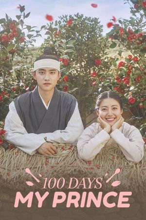 100 giorni mio principe streaming ita